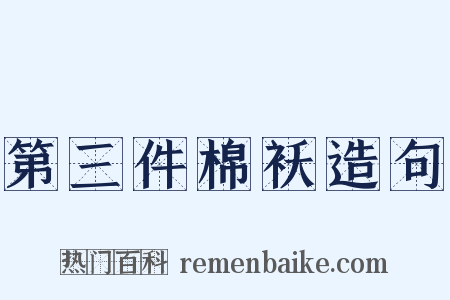 第三件棉袄造句是什么意思的图片